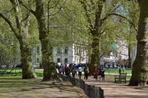 ST-JAMES-PARK (59)
